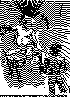 JCN-004B.BMP