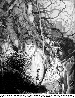 IGV-014G.BMP
