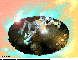 SBN-007C.BMP