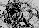 JML007G.BMP