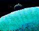 RHA002C.BMP