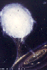 MC002C.BMP