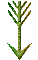 GRADIE~2.GIF
