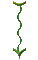 GRADIE~3.GIF