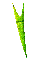 GRADIE~2.GIF