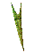GRADIE~2.GIF