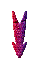 GRADIE~2.GIF