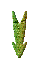 GRADIE~2.GIF