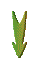 GRADIE~1.GIF