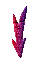 GRADIE~2.GIF