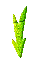 GRADIE~2.GIF