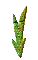 GRADIE~2.GIF