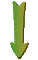 GRADIE~1.GIF
