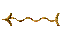 SOLIDS~2.GIF