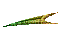 GRADIE~2.GIF