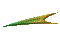 GRADIE~1.GIF