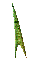 GRADIE~2.GIF