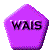1TXT100.GIF